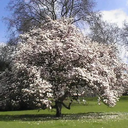 Apartmán Business Bochum