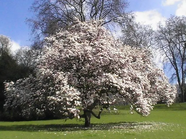 Appartement Business Bochum